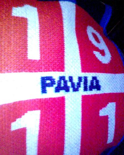 Day305-Pavia