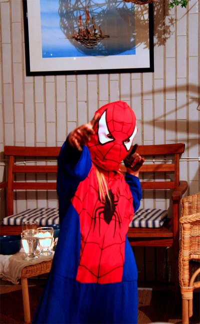 Day344-Spidey